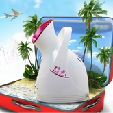 Imported Facial Face Steamer